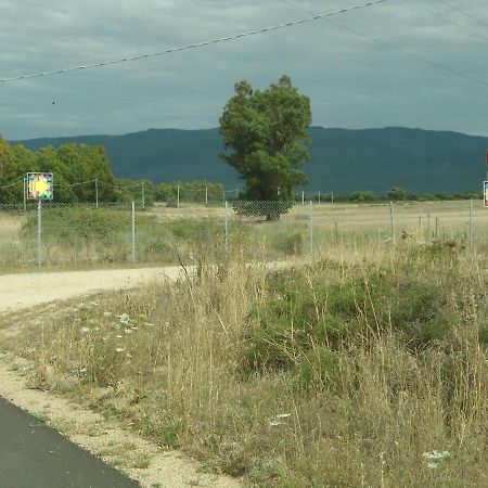Tra Mare E Monti Apartment Santa Giusta Bagian luar foto