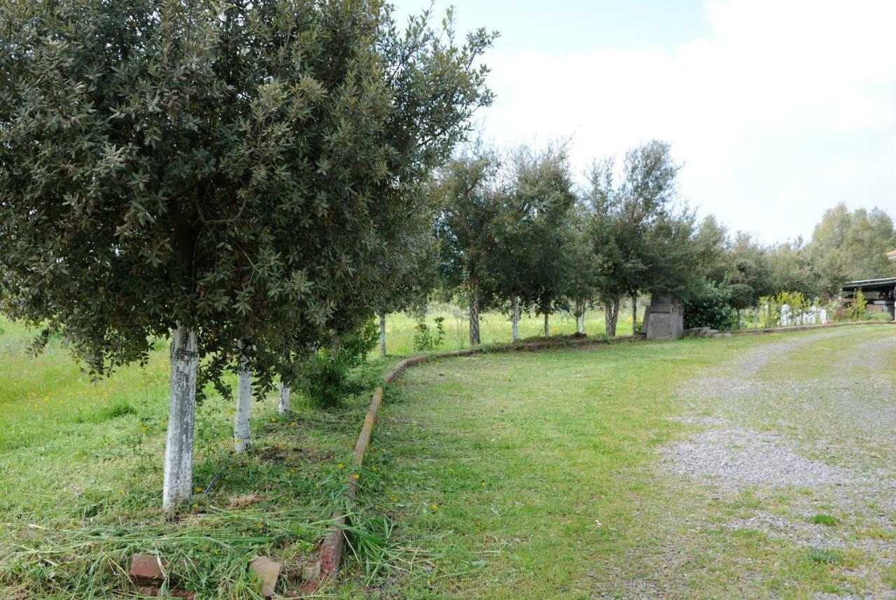 Tra Mare E Monti Apartment Santa Giusta Bagian luar foto