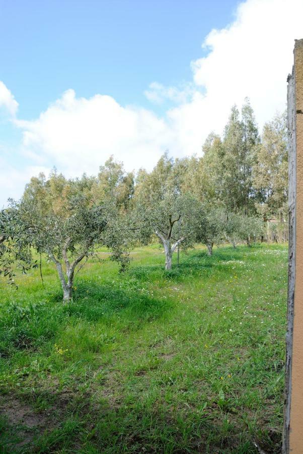 Tra Mare E Monti Apartment Santa Giusta Bagian luar foto