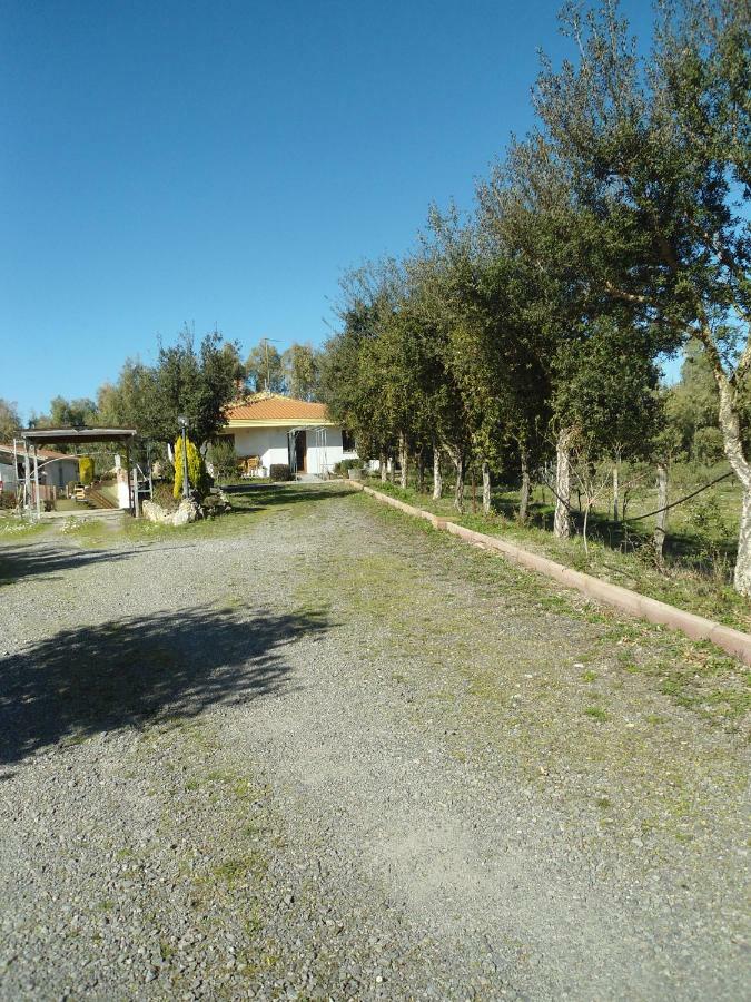 Tra Mare E Monti Apartment Santa Giusta Bagian luar foto