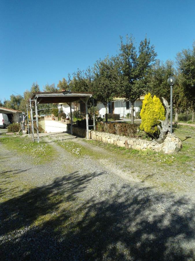 Tra Mare E Monti Apartment Santa Giusta Bagian luar foto
