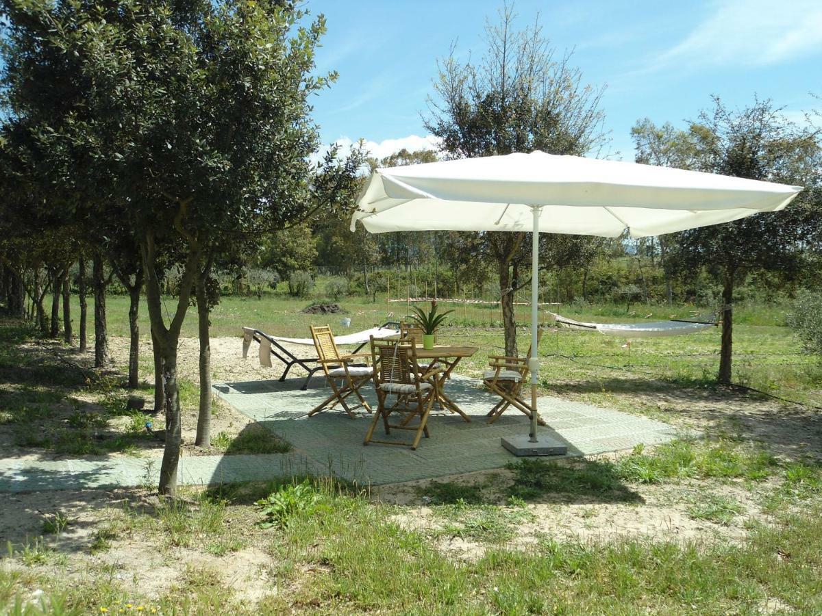 Tra Mare E Monti Apartment Santa Giusta Bagian luar foto