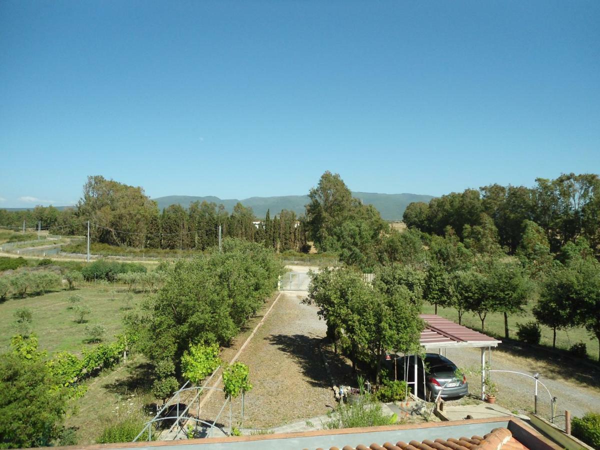 Tra Mare E Monti Apartment Santa Giusta Bagian luar foto